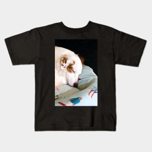 Brittany Spaniel pup sleeping Kids T-Shirt